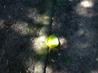 201208261984